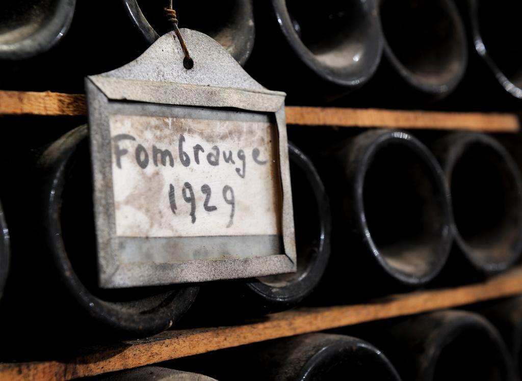 Saint-Christophe-des-Bardes Chateau Fombrauge المظهر الخارجي الصورة